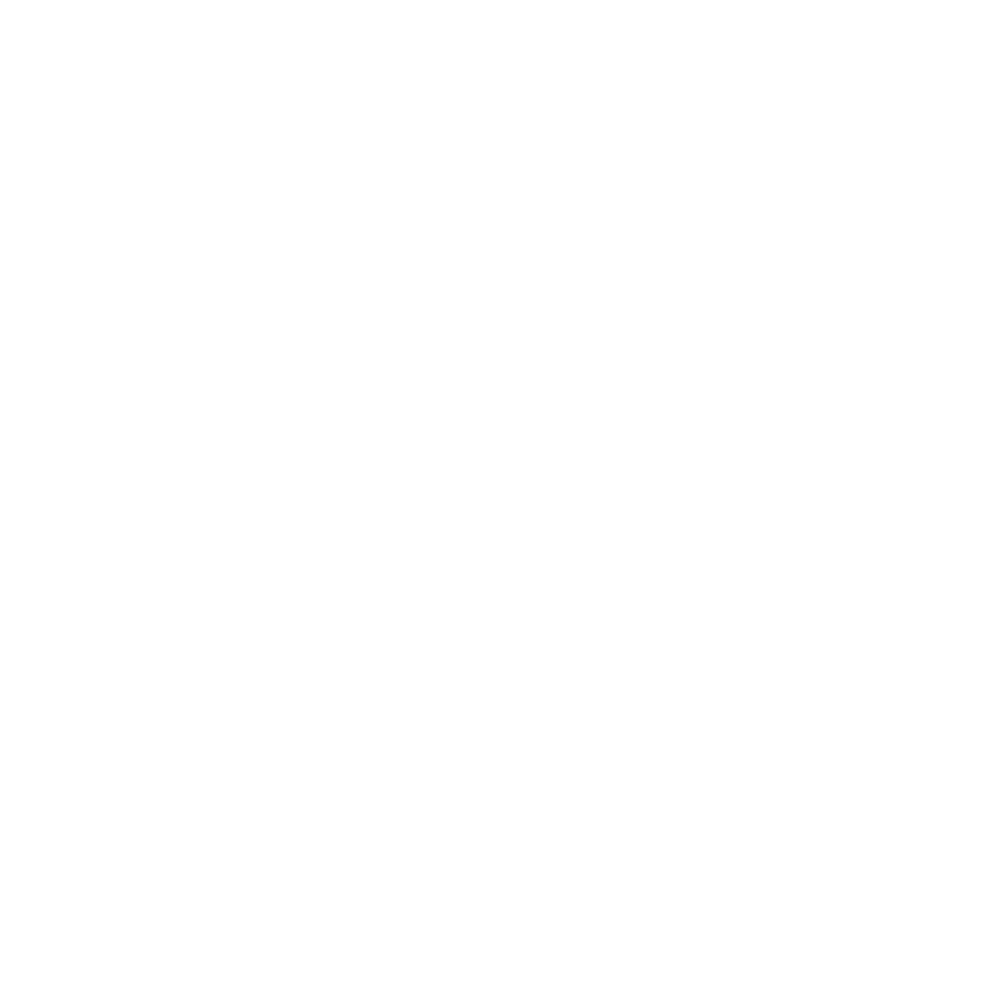 Snaptoon